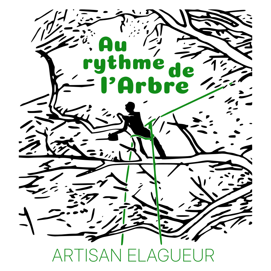 Au rythme de l'arbre — élagueur au travail dans un arbre ariégeois
